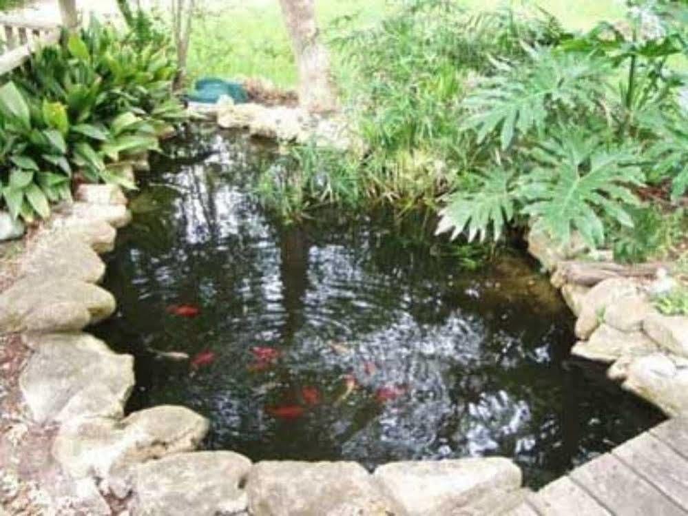 Acorn Bed And Breakfast Boerne Ngoại thất bức ảnh